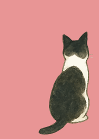 tuxedo cat02 on light pink