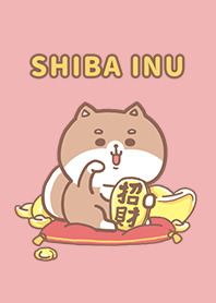 misty cat-Shiba Inu lucky pink