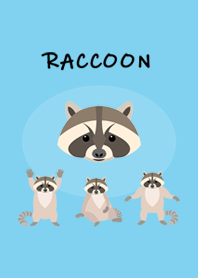 Raccoon -ENG-