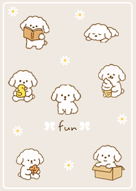 beige Toy Poodle's Daily Life 02_2