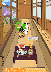 Cat in the Corridor of the Japan House 3