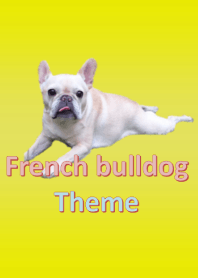 ธีมจริงของ French Bulldock
