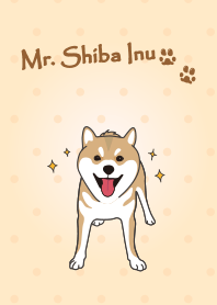 Mr. Shiba Inu