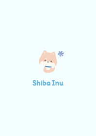 Shiba Inu3 Crystal - Blue