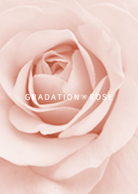 Rose and gradation babypink14_2