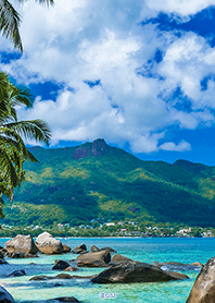 Summer vacation Hawaiian sea from Japan