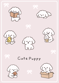 pink Soothing, fluffy toy poodle 01_2
