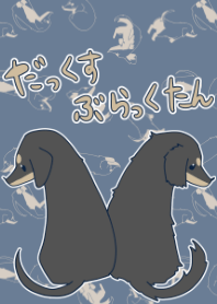 dachs blacktan