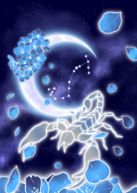blue cherry blossoms Scorpion JPN