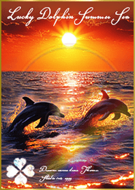 Lucky Dolphin Summer Sea8
