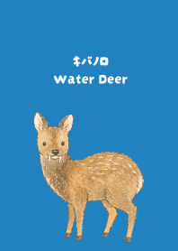 Water Deer blue JP
