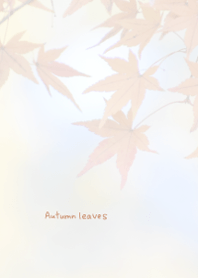 Autumn leaves Theme 1