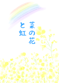 Canola flower and Rainbow