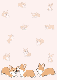 Cute happy Welsh Corgi.21