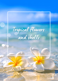 トロピカルフラワー (PR) 12 ブルー