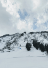 雪之美
