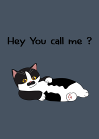 Hey you call me?