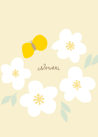 白い花と蝶　揺蕩う20