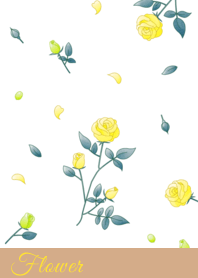 花 002 【玫瑰×黃色】
