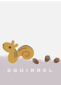 Little Cute Squirrel