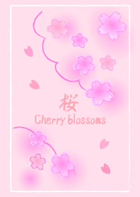 SA KU RA Cherry blossoms.