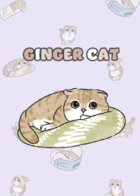 gingercat11 - light purple