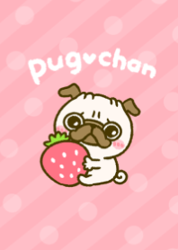 Daisuki PUG chan