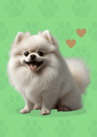 Cute Pomeranian Theme Green 01