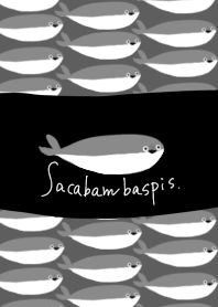 Sacabambaspis  of simple ver.