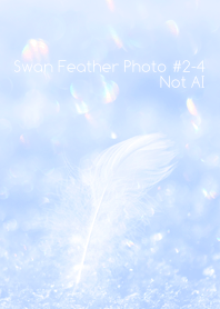 Swan Feather Photo #2-4Not AI