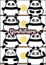 よしはら★まんまるカワイイ♥パンダ