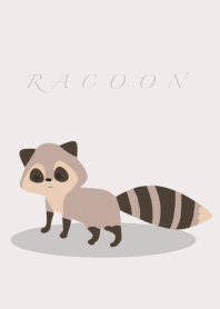 Racoon