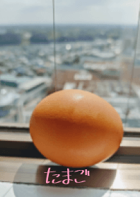 雞蛋外觀