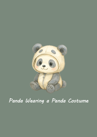 Adorable Panda Dressed as a Panda