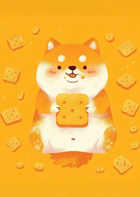Corgi cute chubby_3