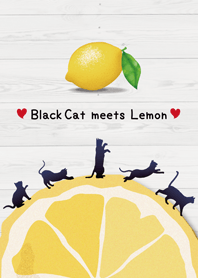 黒ネコとレモン2