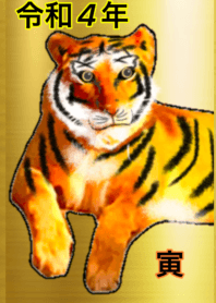 2022 tiger GOLD 4