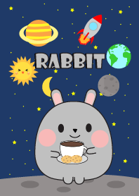 Cute gray rabbit In Galaxy Theme(jp)
