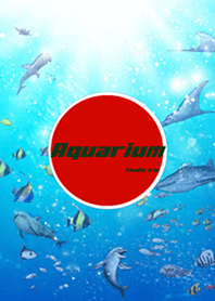水族館 Aquarium1