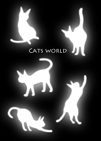 ネコの世界