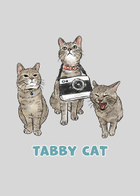tabbycat11 - light grey