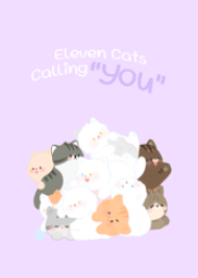 Eleven cats calling You