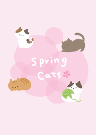 Spring cats