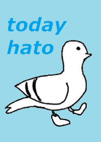 今日は鳩の日