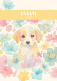 brown & yellow 仔犬のまなざし