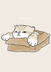 neko drawing4 / cream