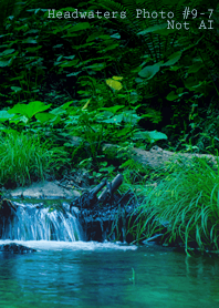 Headwaters Photo #9-7Not AI