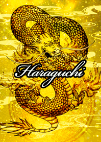 Haraguchi Golden Dragon Money luck UP
