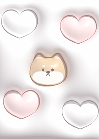 Greige Fluffy Shiba Inu 02_2