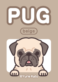 PUG(beige)